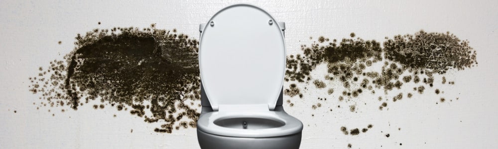 Black mold around the toilet base