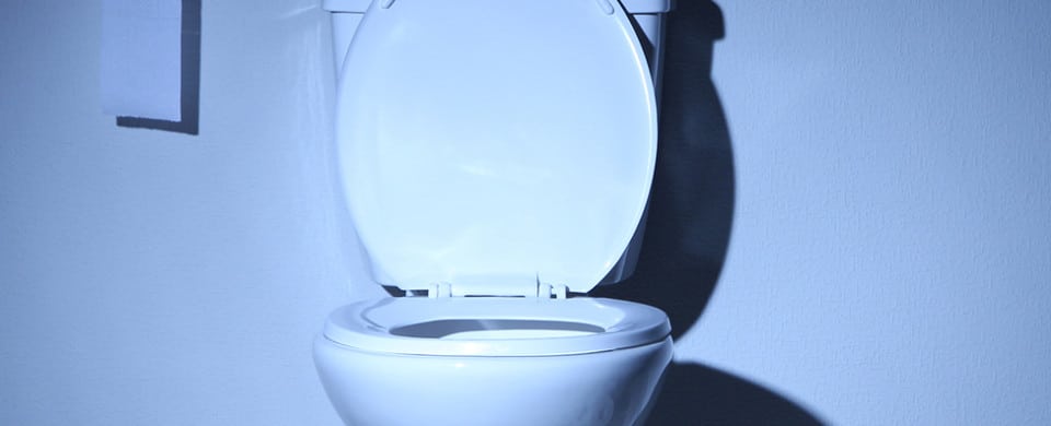 An open toilet bowl