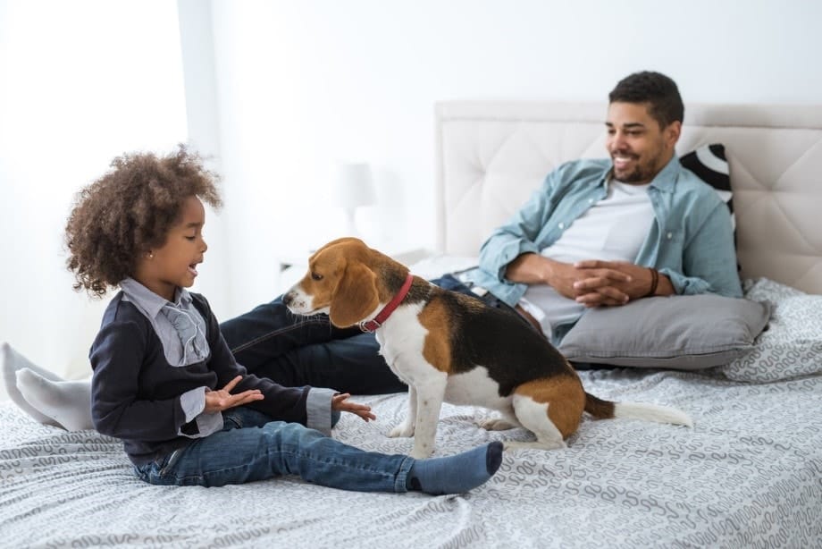 A family sitting on a bed with their dog