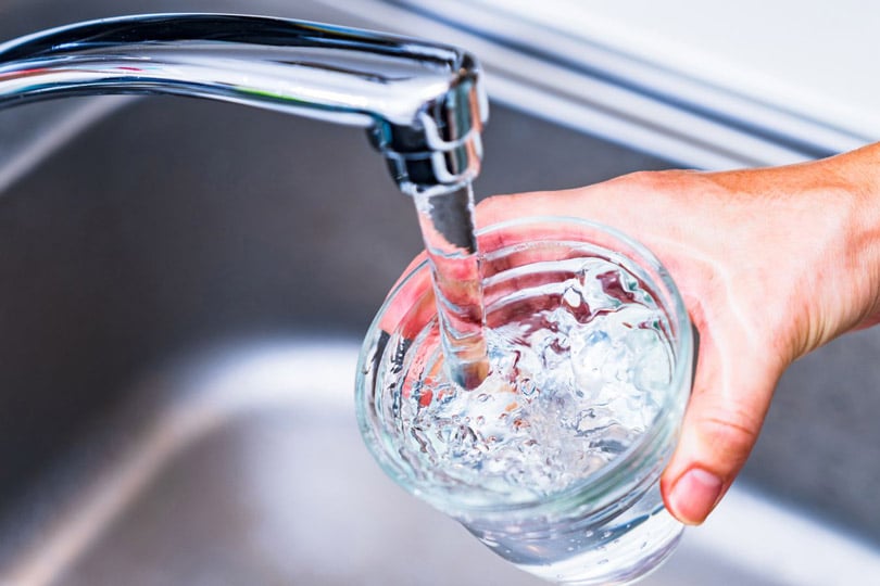 Filling up a clean glass of water at the sink